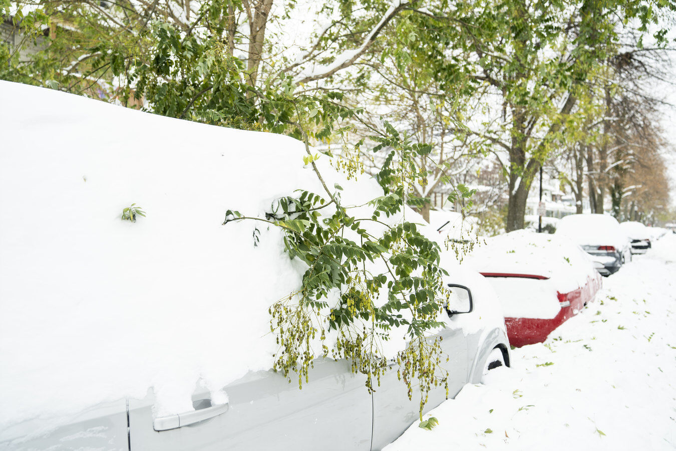 Buried cars